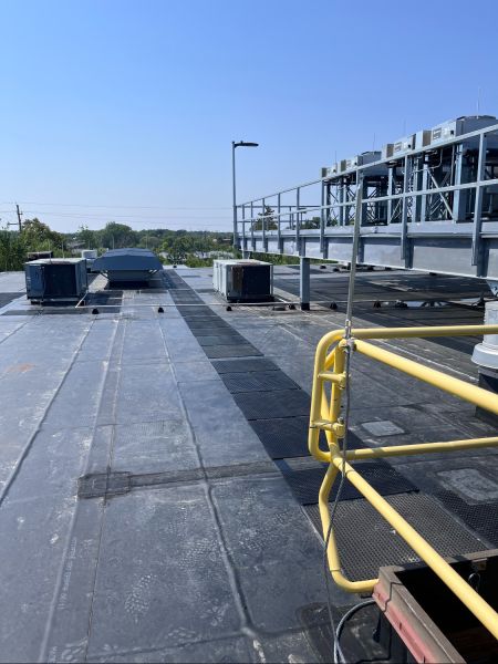 roof roof